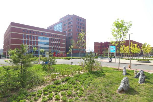 留取大愛待夢圓——記石家莊財(cái)經(jīng)商貿(mào)學(xué)校教師趙建素