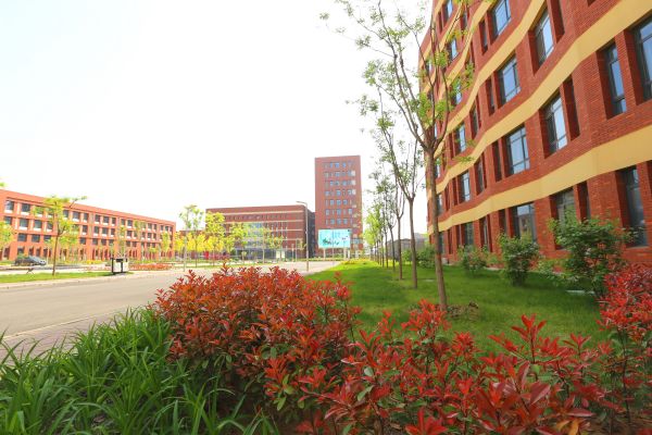 立志教育 不忘初心 ——石家莊財(cái)經(jīng)商貿(mào)學(xué)校國蘭老師先進(jìn)事跡